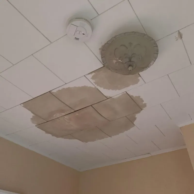 Ceiling Water Damage Repair in Weaverville, NC