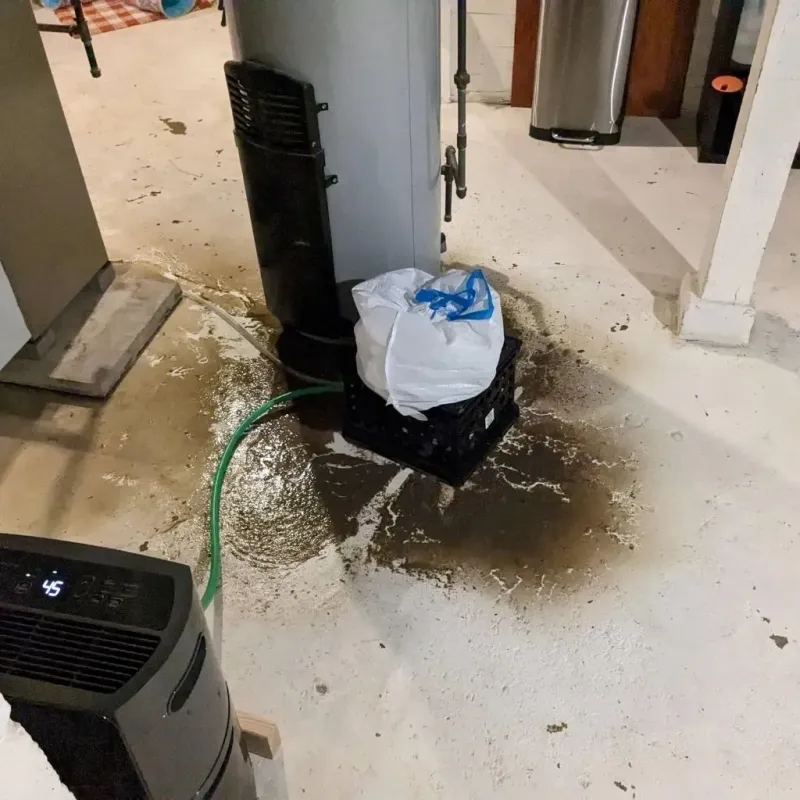 Sewage Backup Cleanup Service in Weaverville, NC